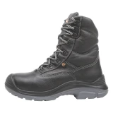 Talan 216